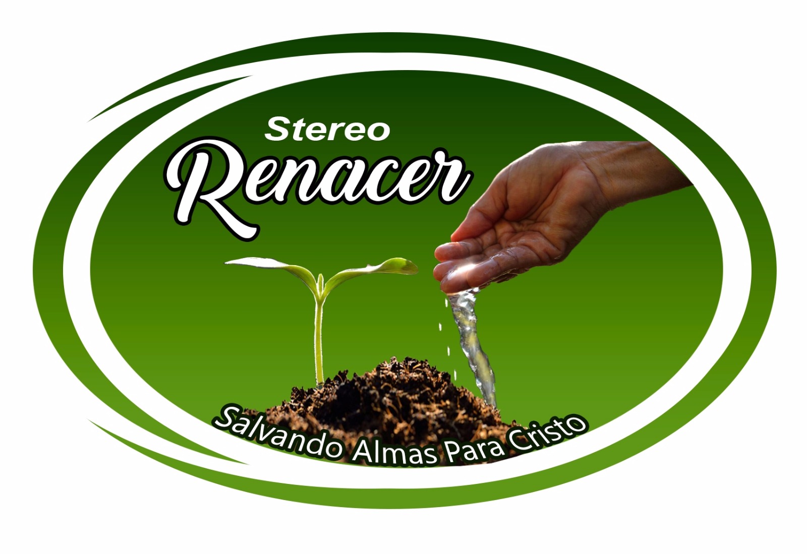 Stereo Renacer